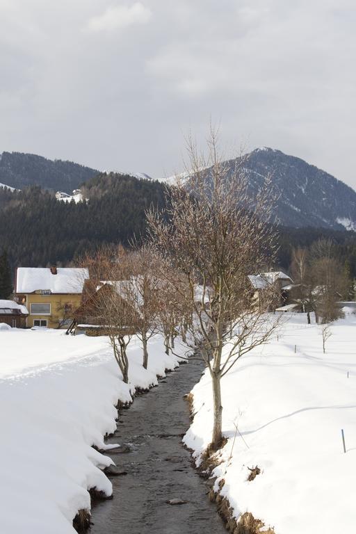 Apartmenthaus Berdnik Kotschach-Mauthen Værelse billede
